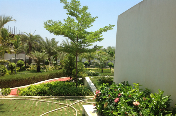 chennai landscape, chennai landscaping, chennai landscape designers, chennai garden maintenance, chennai garden management, chennai terrace gardens,